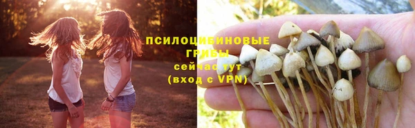 стафф Лагань