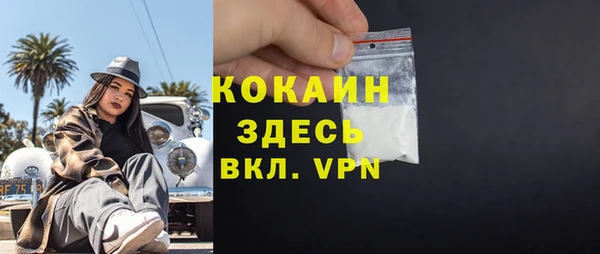 прущие крисы Кулебаки