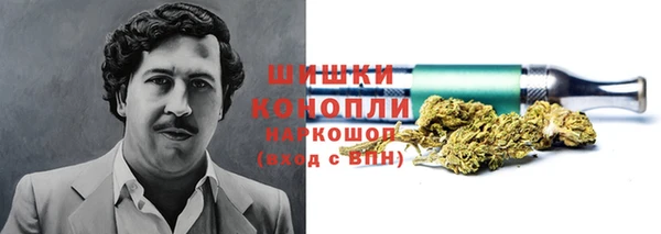 прущие крисы Кулебаки