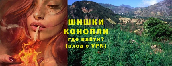 эйфоретик Кукмор